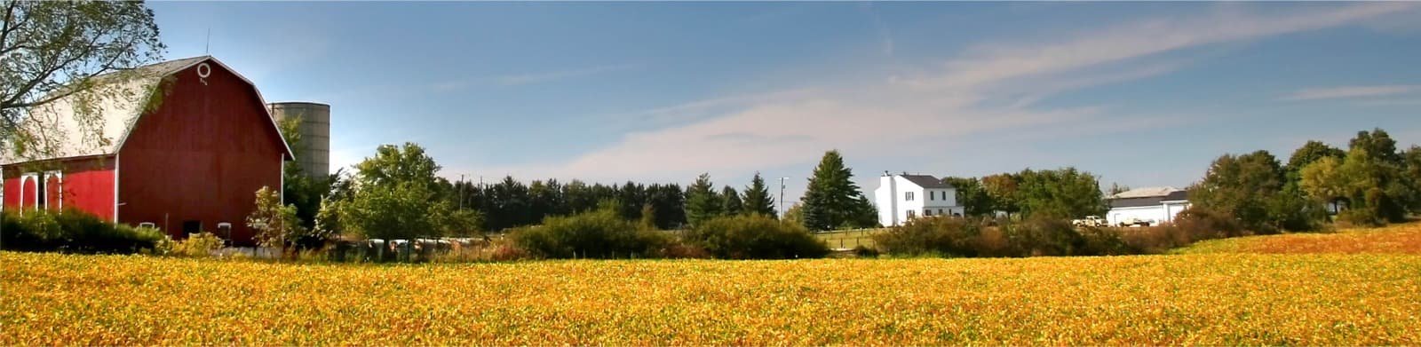 Estados Unidos: terra fértil para investimentos